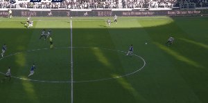 1771735665309033101.gif juv 11.gif